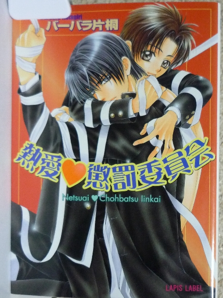 熱愛懲罰委員会　バーバラ片桐(著)